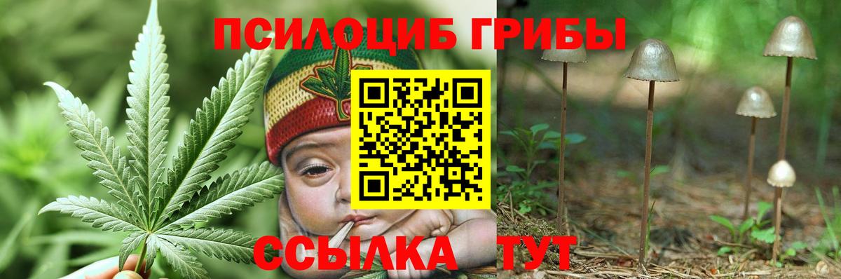 Галлюциногенные грибы Psilocybe Набережные Челны