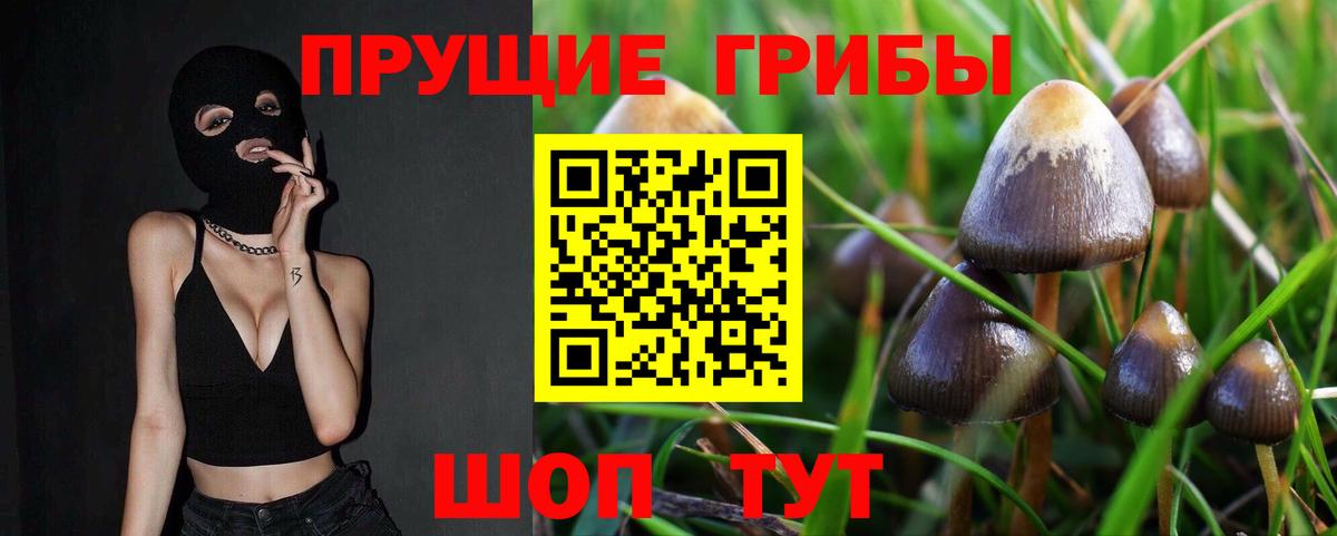 Псилоцибиновые грибы Psilocybe  как найти закладки  Набережные Челны  Вход с VPN 